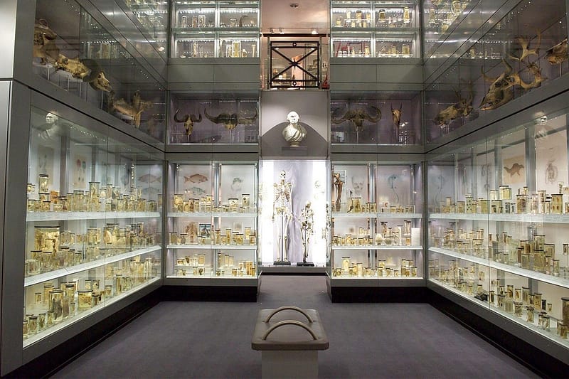 Library and world renowned Hunterian Museum